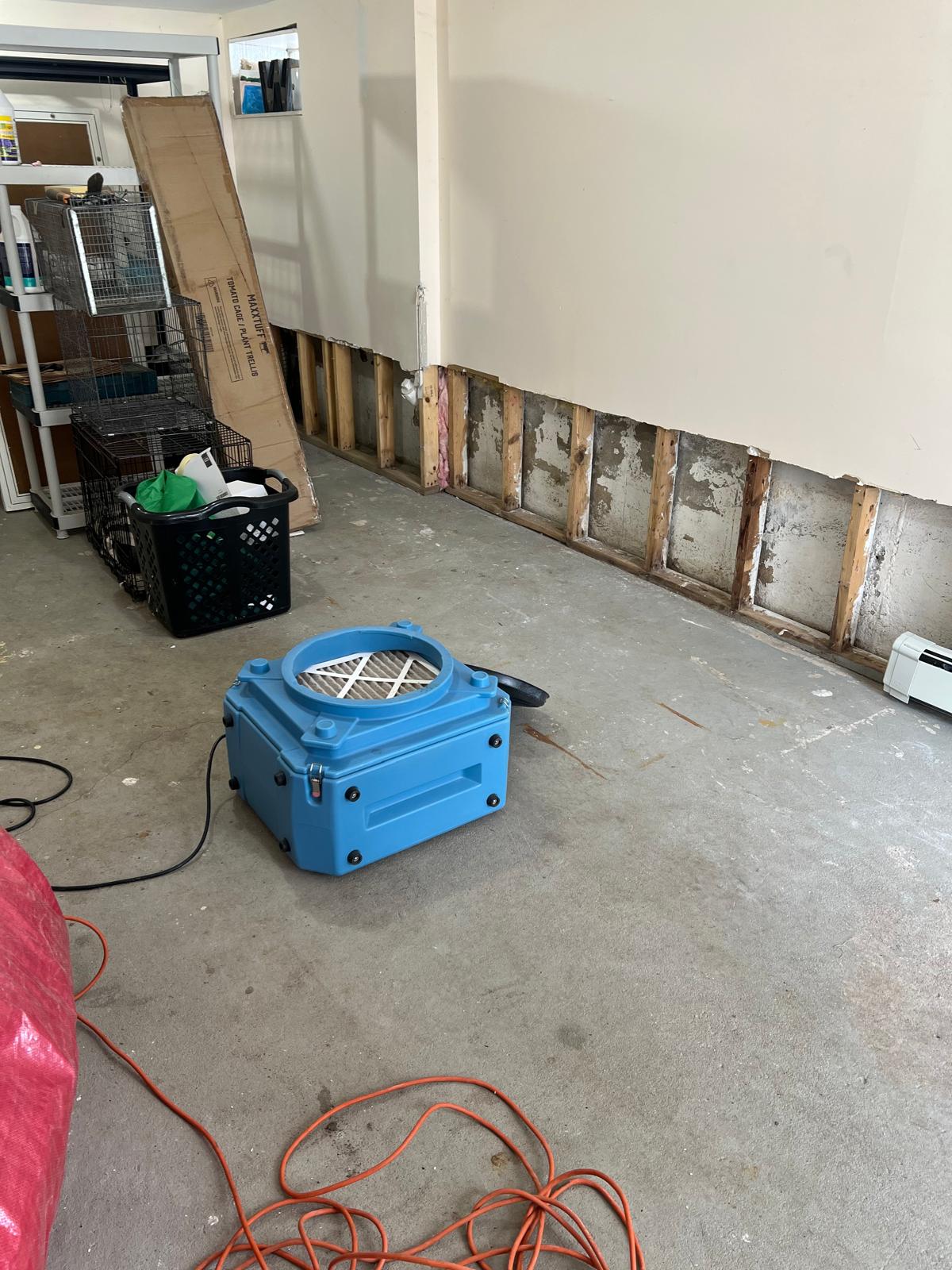 Basement Flood Cut & Drying