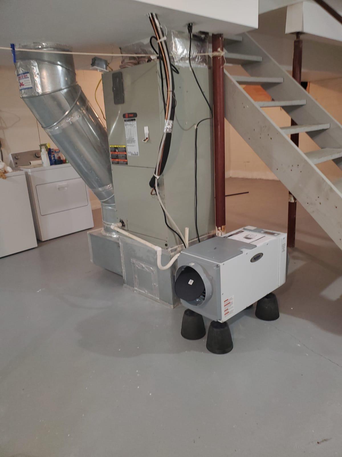 Basement Furnace & Dehumidifier Setup