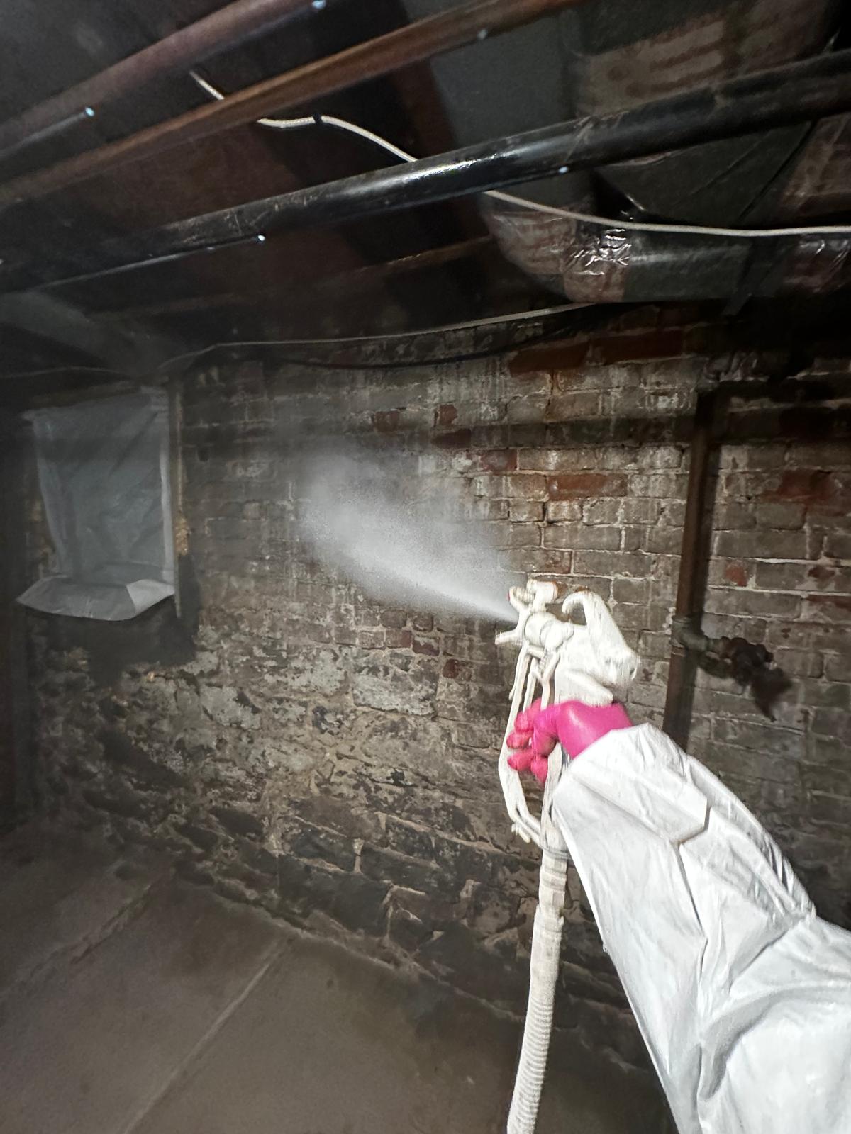 Brick Cellar Antimicrobial Application