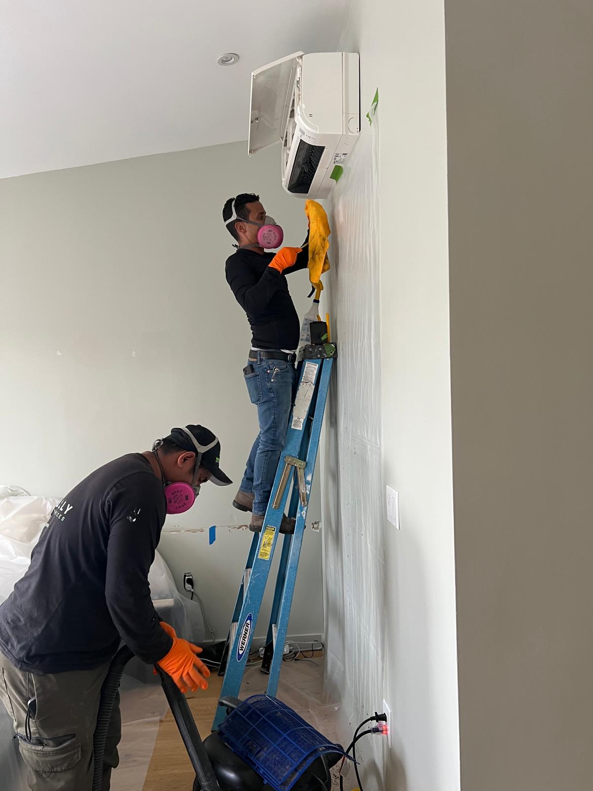 Mini-Split Mold Remediation
