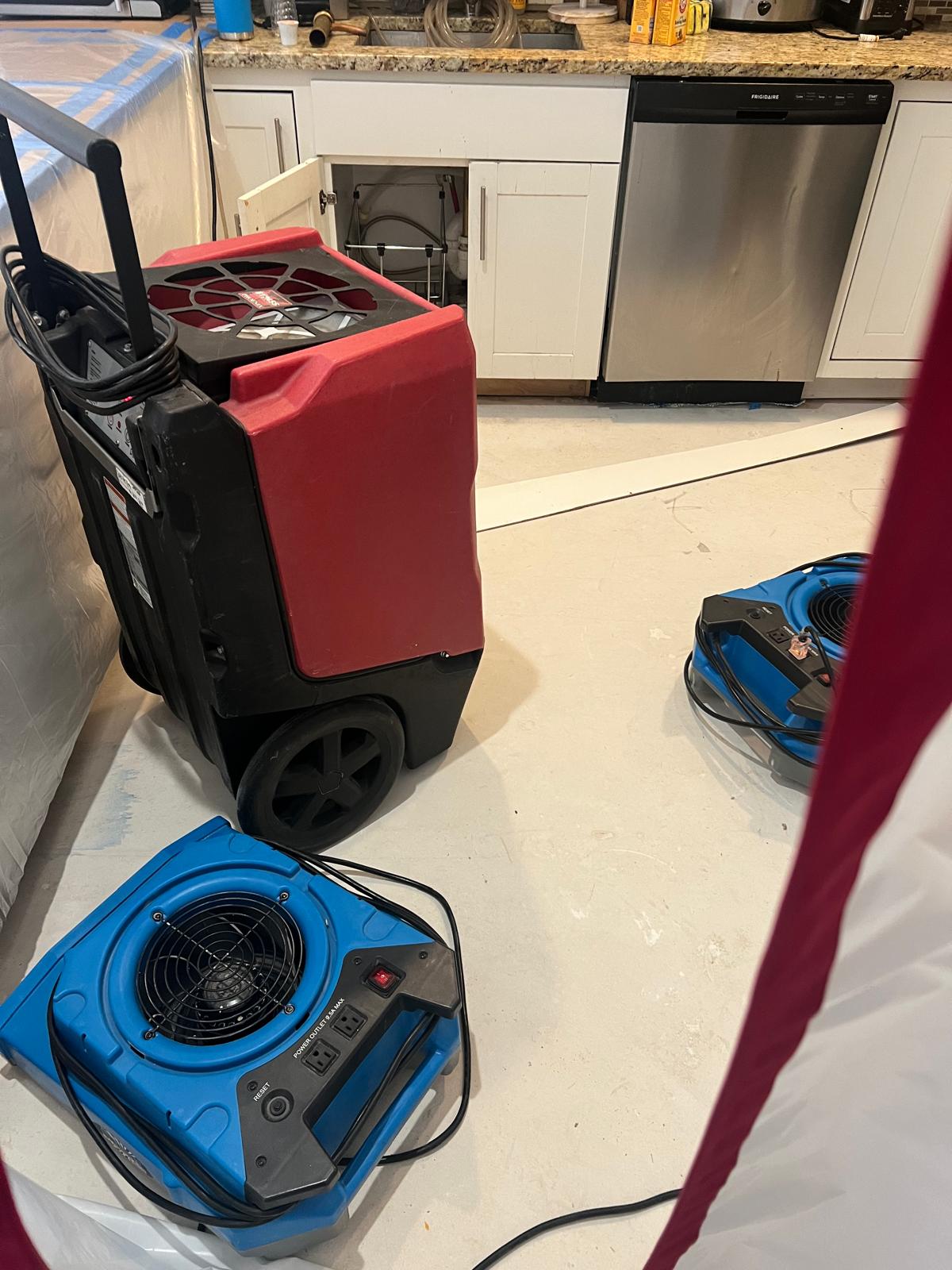 Kitchen Dishwasher Leak Response
