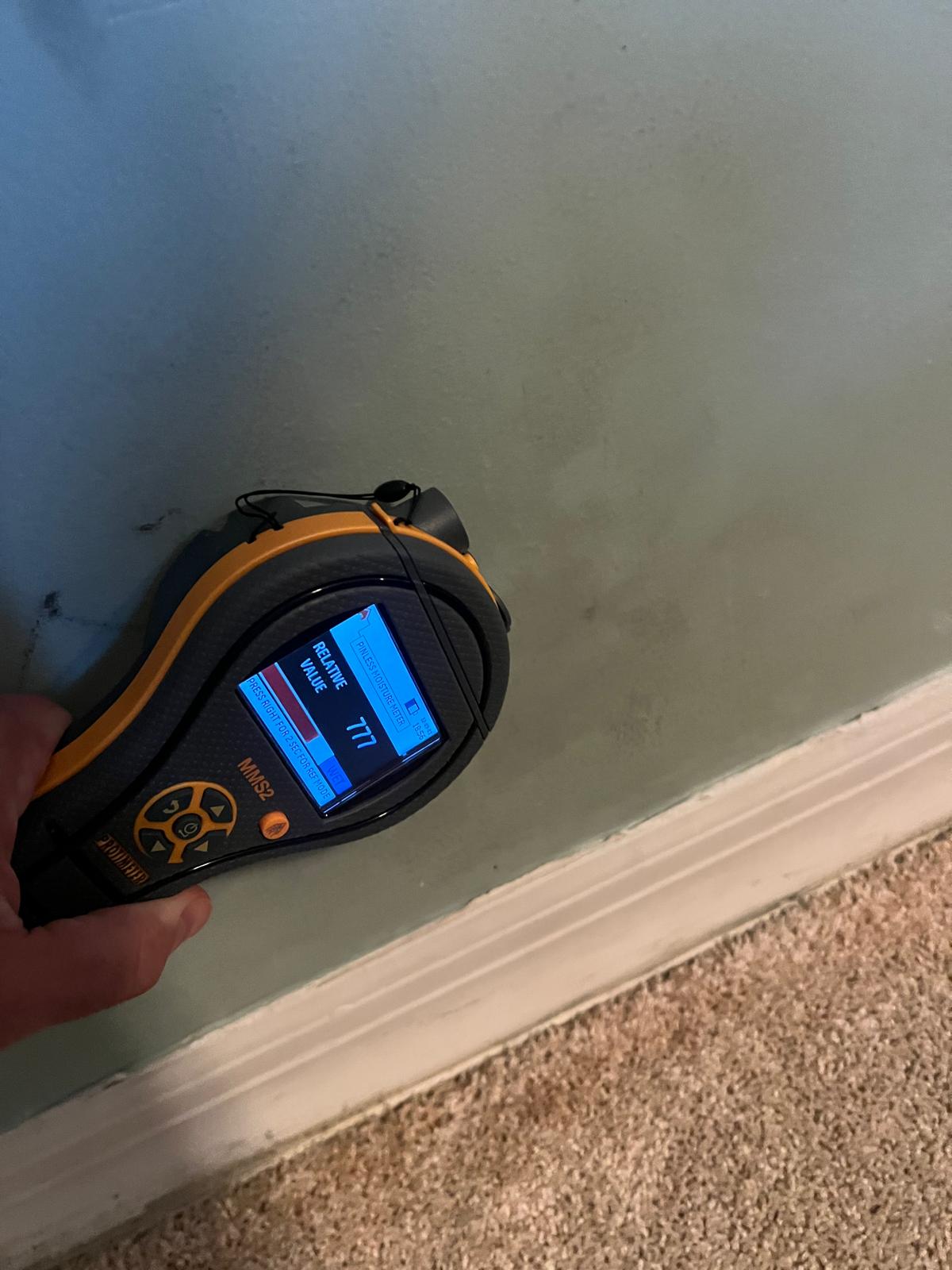 Visible Mold Moisture Verification